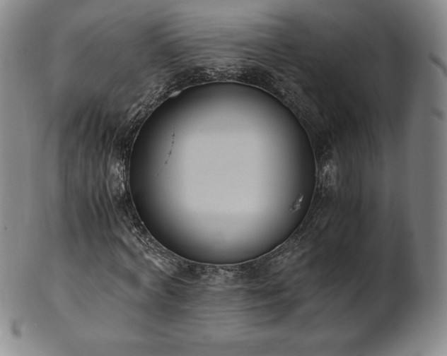 X0000101680772200807171410