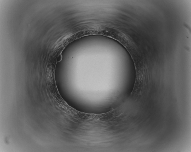 X0000101680773200807171410