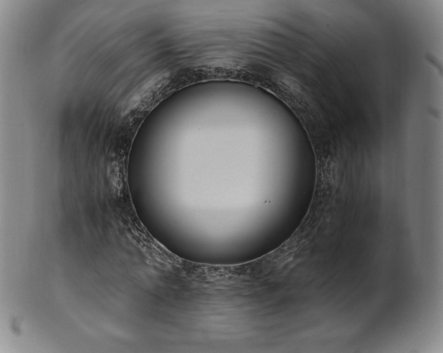 X0000101680774200807171410