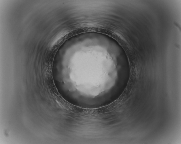 X0000101680775200807171410