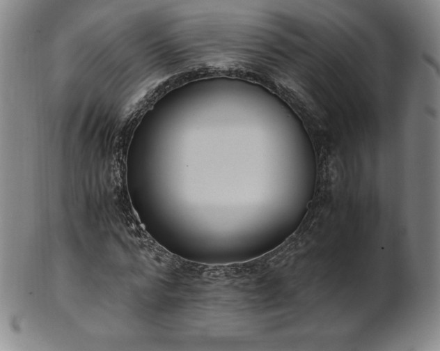 X0000101680776200807171410