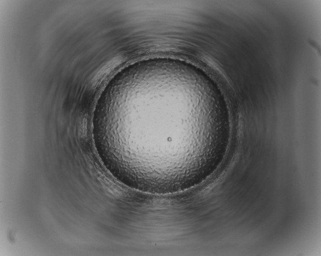 X0000101680777200807171410