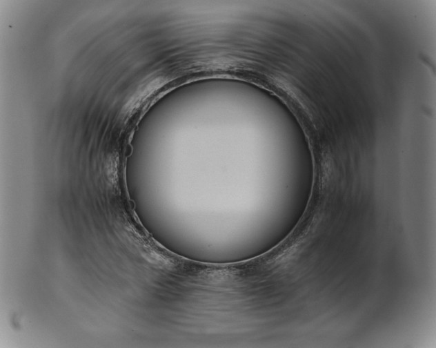 X0000101680778200807171410