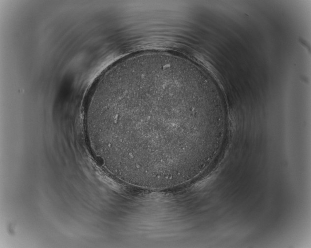 X0000101680779200807171410