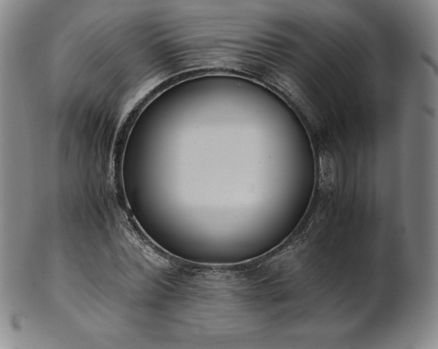 X0000101680780200807171410