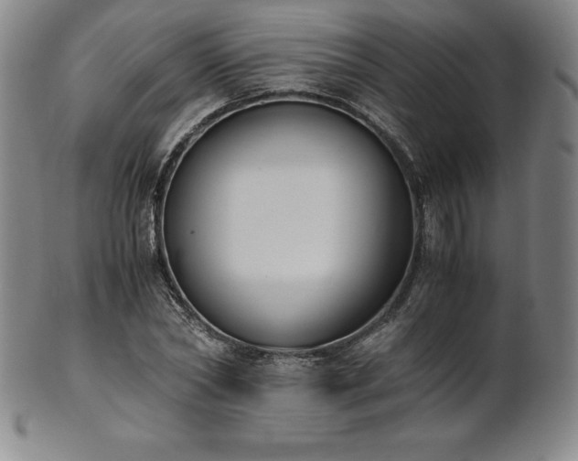 X0000101680782200807171410