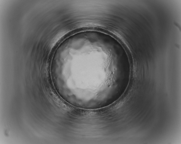 X0000101680783200807171410