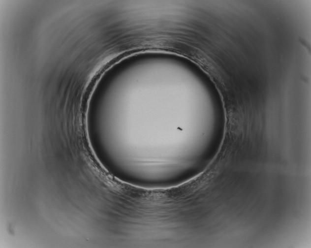 X0000101680784200807171410