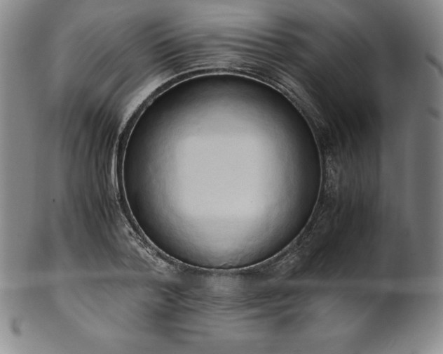 X0000101680788200807171410