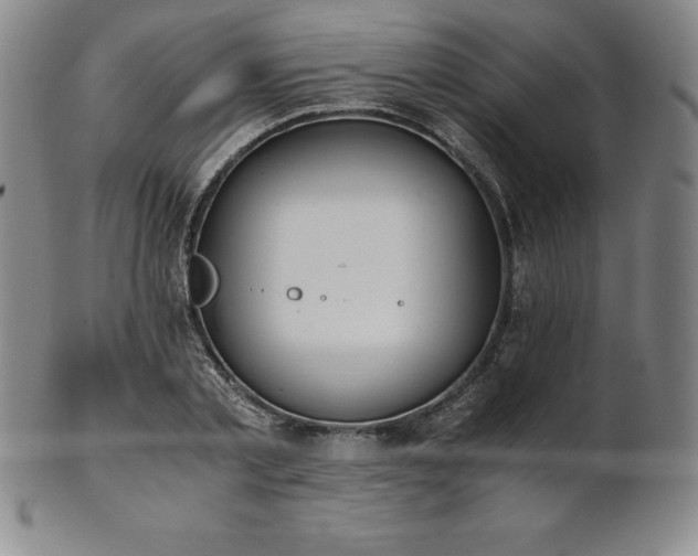 X0000101680789200807171410