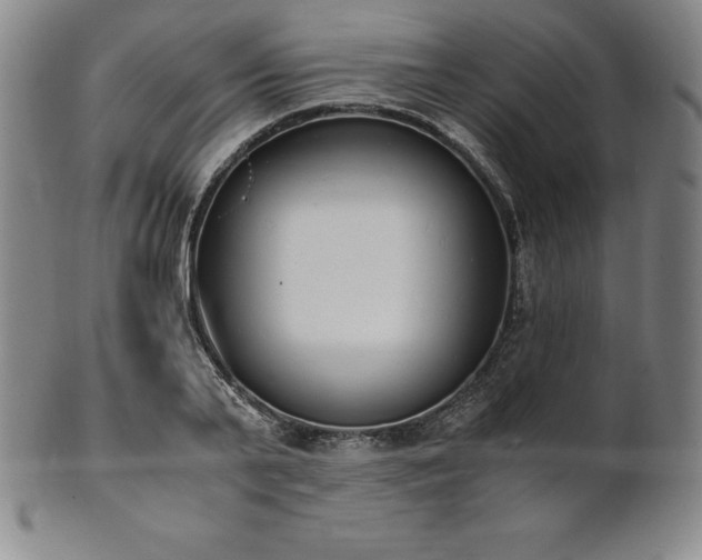 X0000101680791200807171410