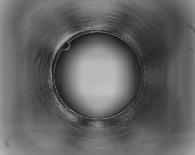 X0000101680792200807171410