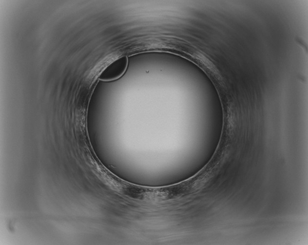 X0000101680793200807171410