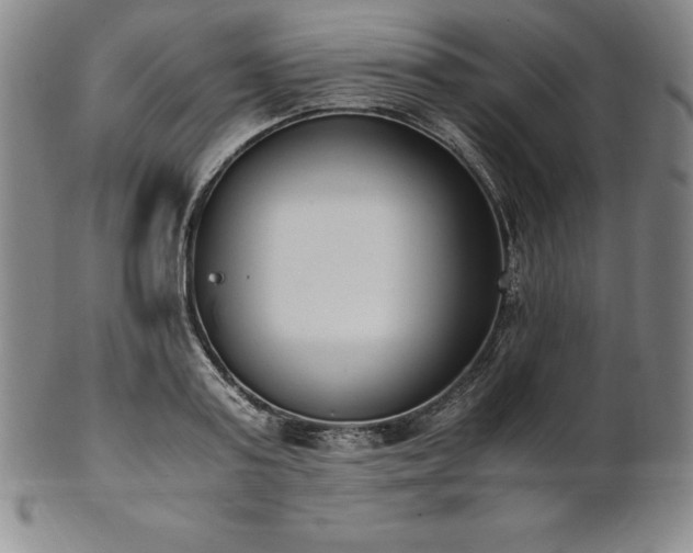 X0000101680795200807171410