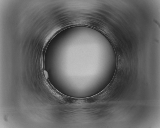 X0000101680796200807171410