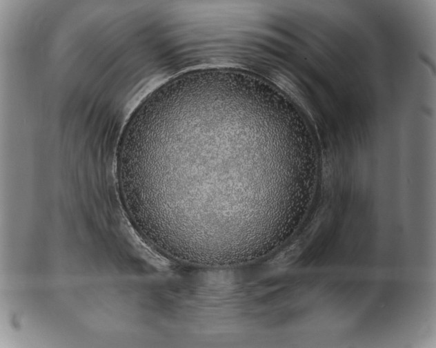 X0000101680797200807171410