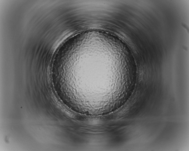 X0000101680798200807171410