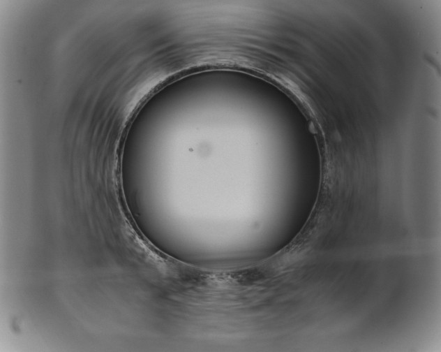 X0000101680799200807171410