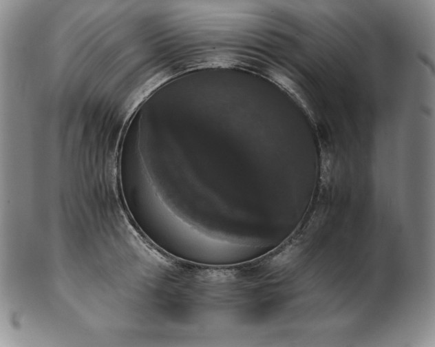 X0000101680802200807171410