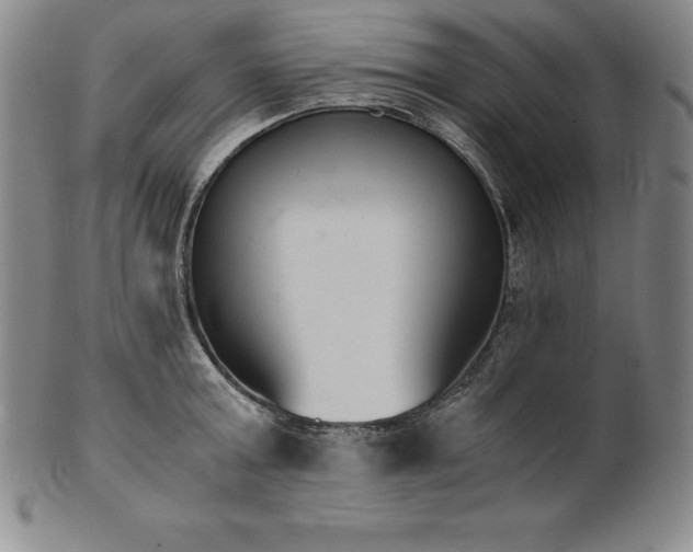 X0000101680803200807171410