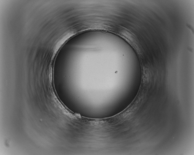 X0000101680804200807171410