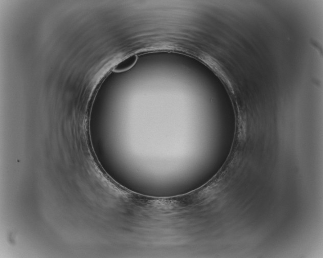 X0000101680805200807171410