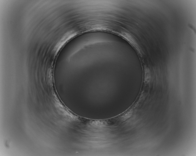 X0000101680806200807171410