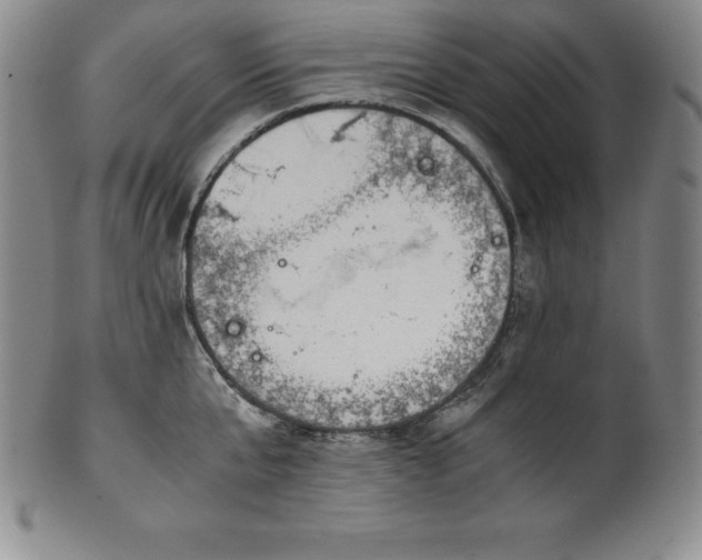 X0000101680807200807171410