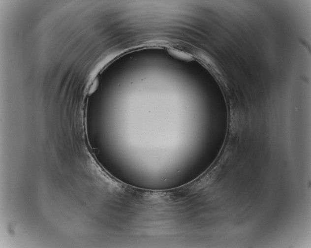 X0000101680808200807171410