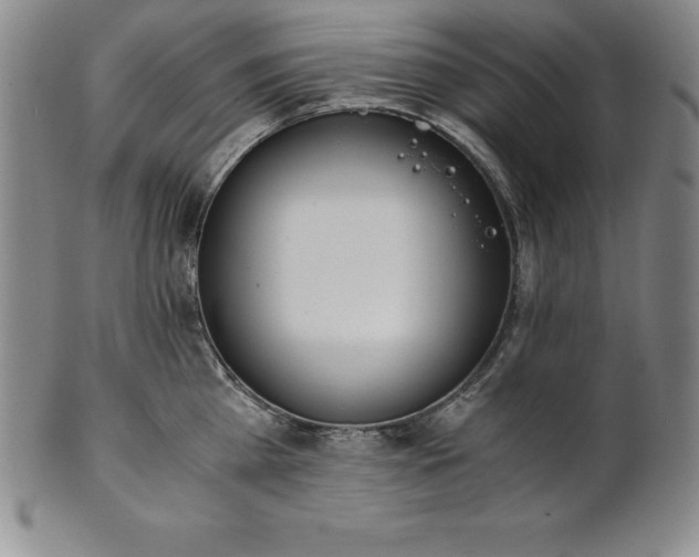 X0000101680809200807171410