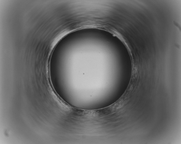 X0000101680811200807171410