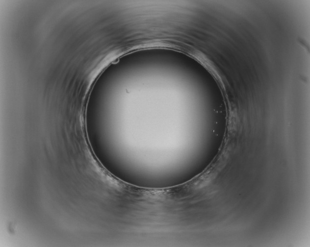 X0000101680813200807171410