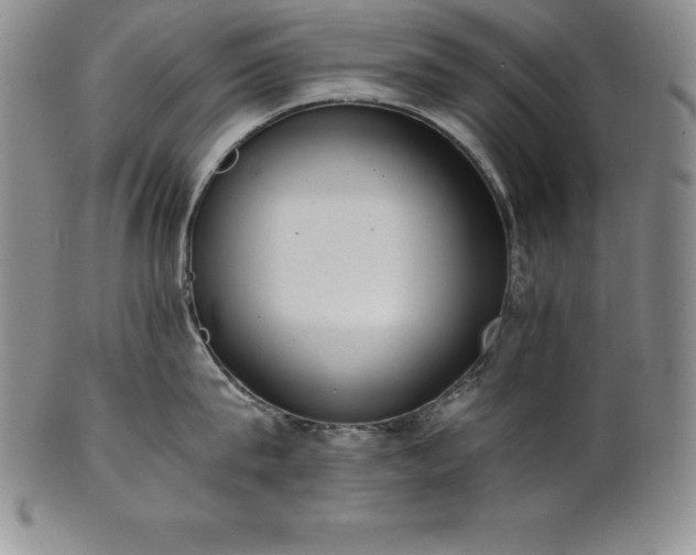 X0000101680815200807171410