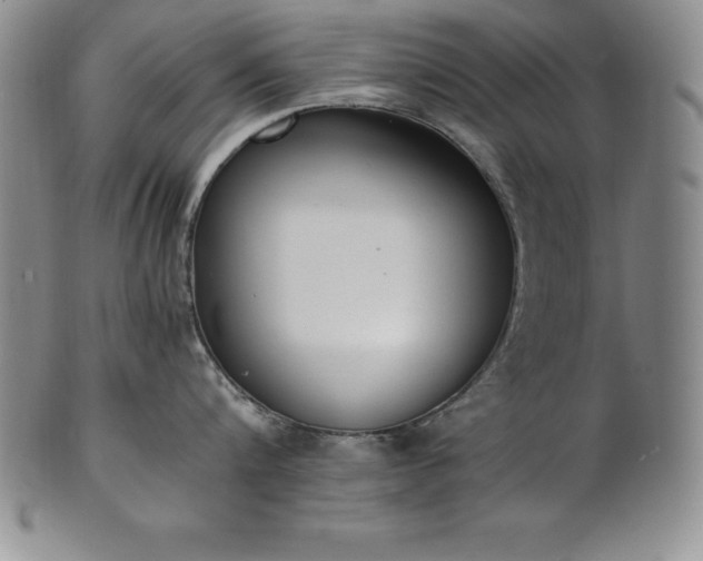 X0000101680816200807171410