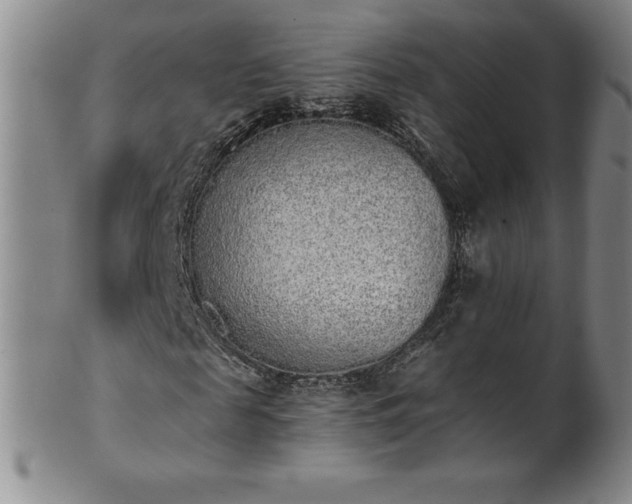 X0000101680817200807171409