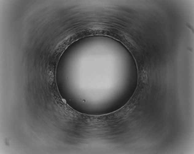 X0000101680821200807171409