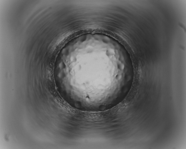 X0000101680823200807171409