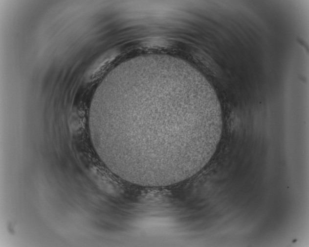 X0000101680824200807171409