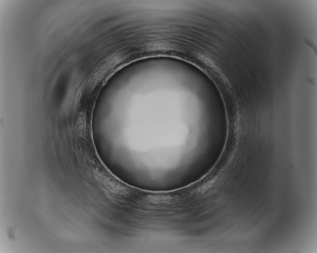 X0000101680825200807171409