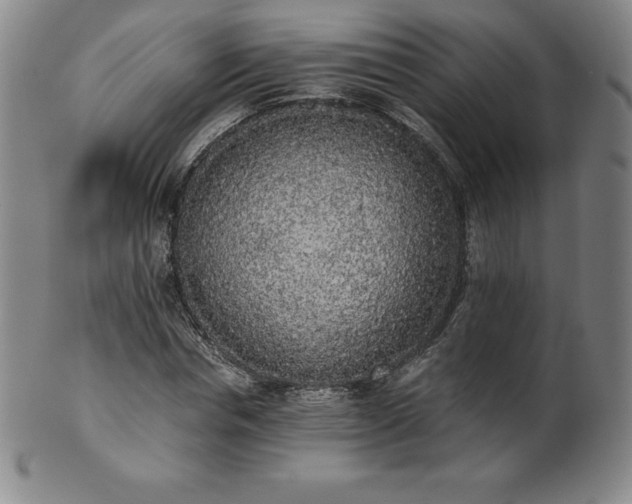 X0000101680826200807171409