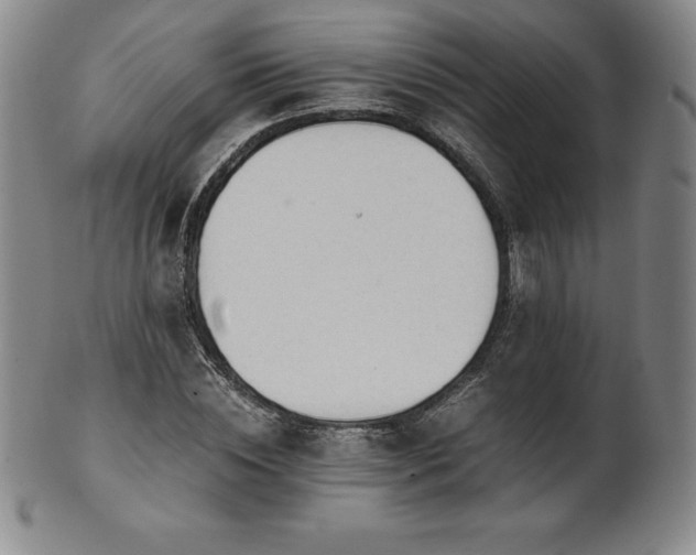 X0000101680828200807171409