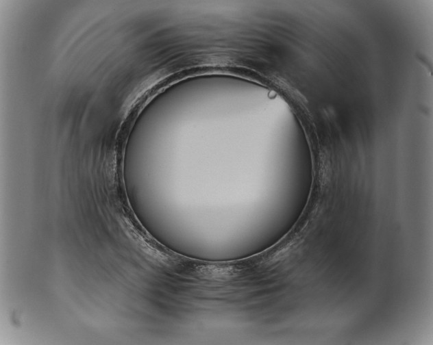 X0000101680831200807171409