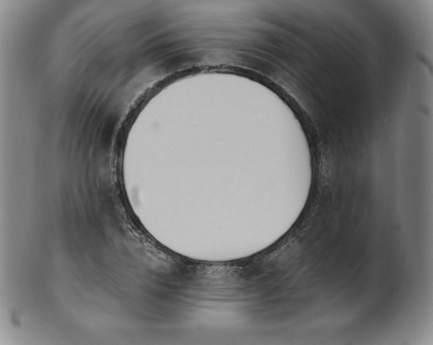 X0000101680832200807171409