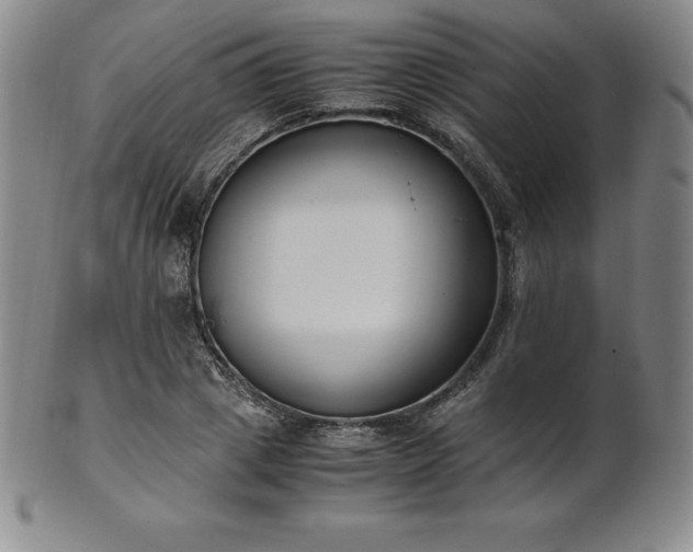 X0000101680833200807171409