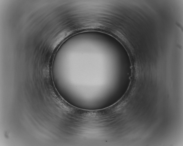 X0000101680834200807171409