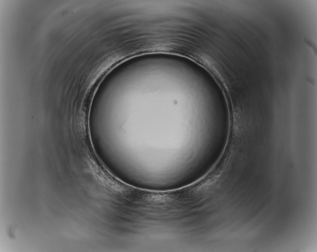 X0000101680835200807171409