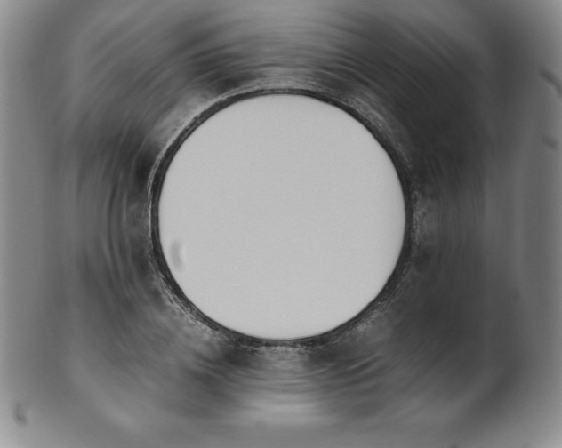 X0000101680836200807171409