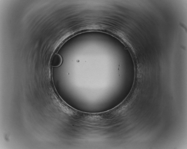 X0000101680837200807171409