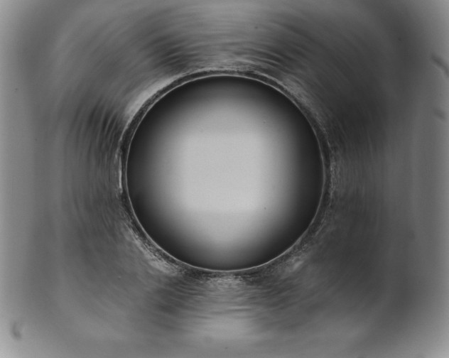 X0000101680838200807171409