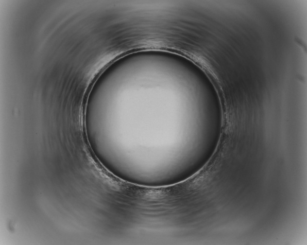 X0000101680839200807171409